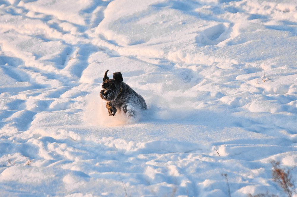 Photograph by Амир Гильмутдинов