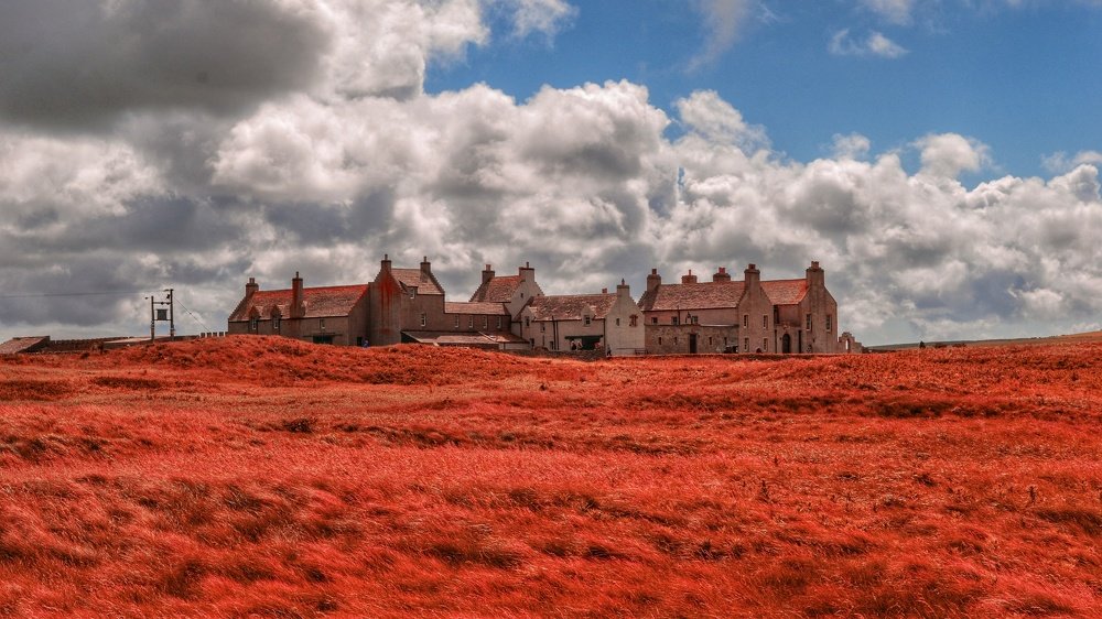 Фотография автора Zuzi Janek