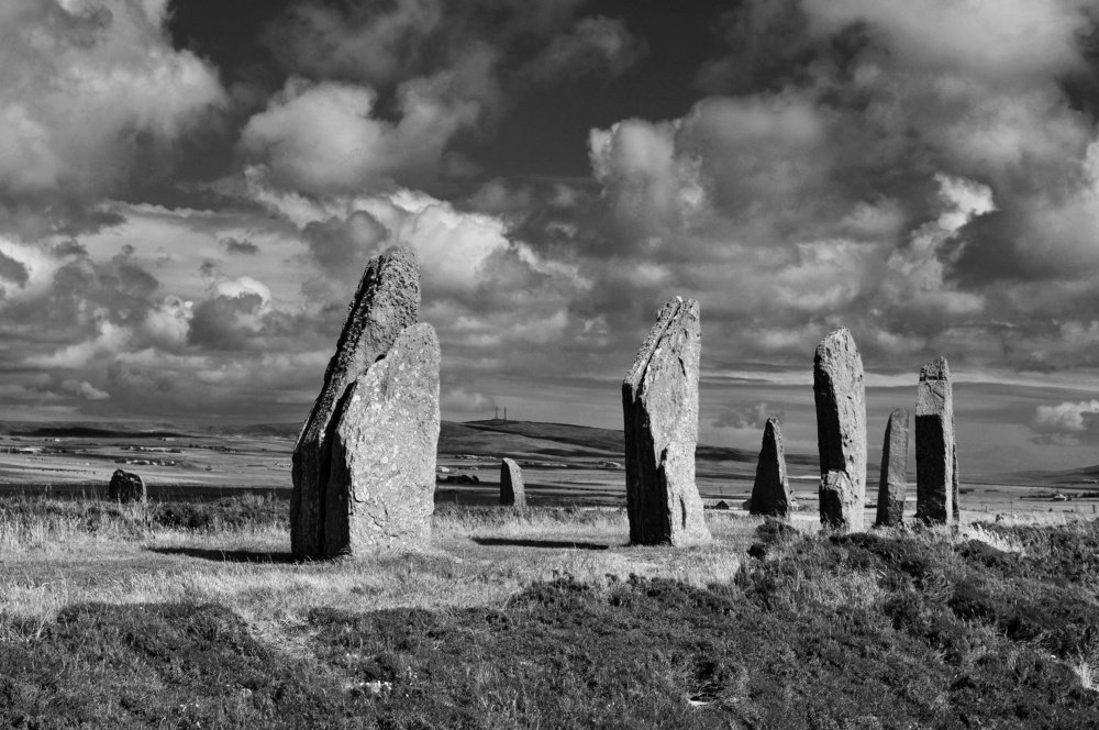 Фотография автора Zuzi Janek