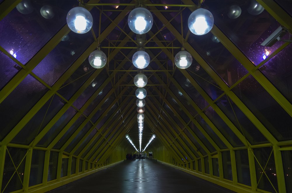 Фотография автора Марина Савчиц