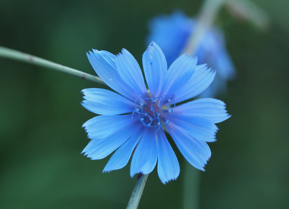 Photograph by Dumitru Constantin