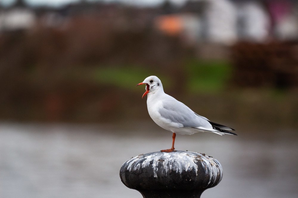 Хватит меня снимать!!!