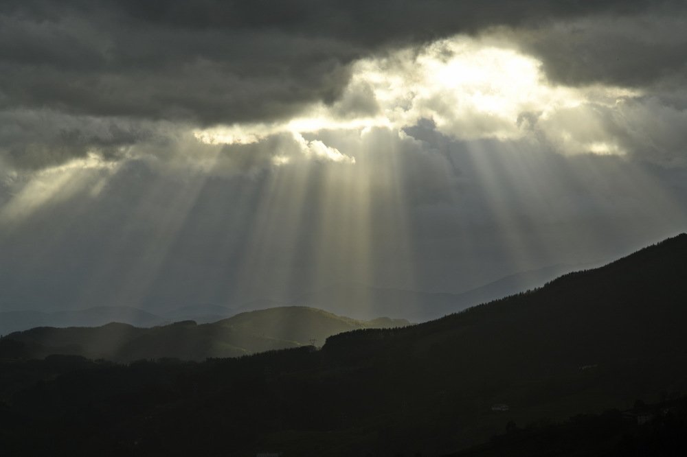 И свет, как дождь, в котором сухо и тепло...