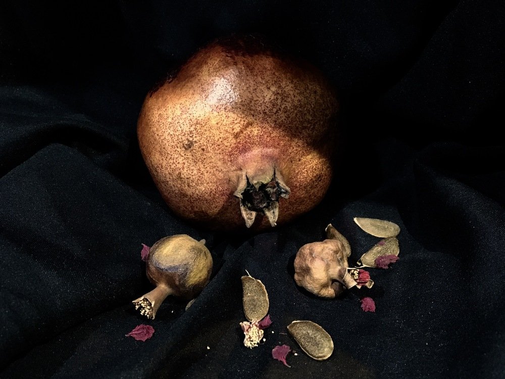 Photograph by Елена Ким