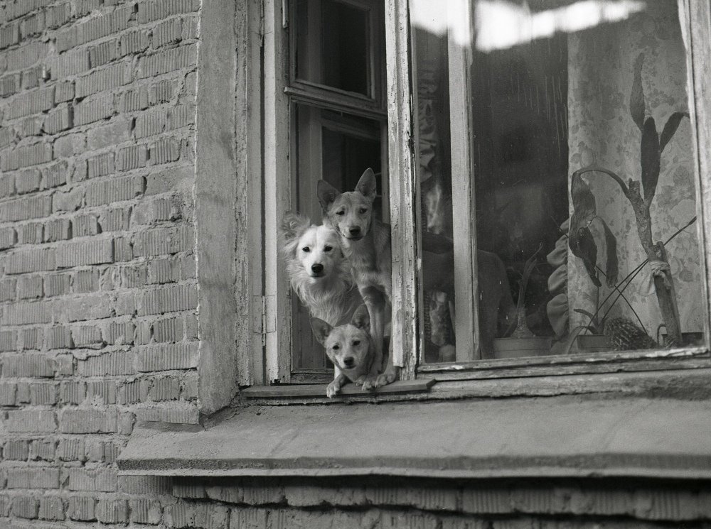 Фотография автора Илья Глобин