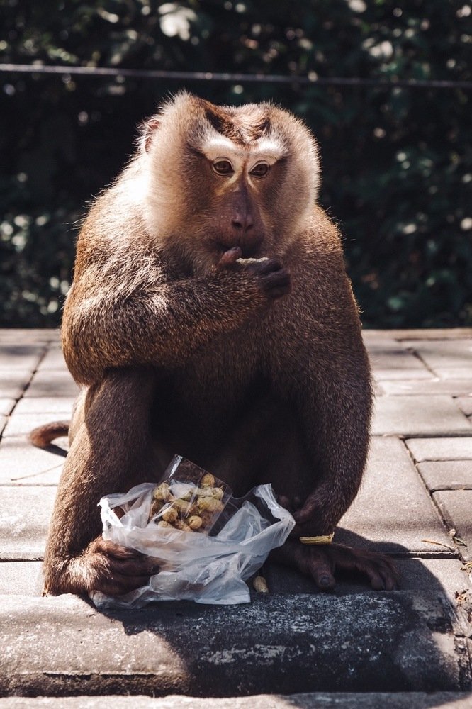 Фотография автора Мария Жукова