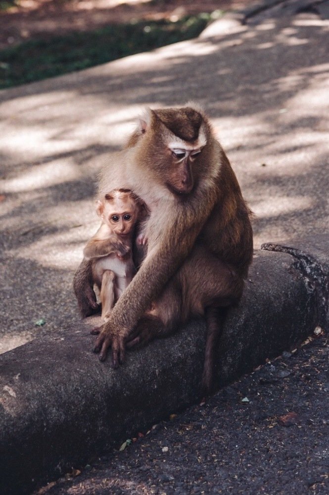 Фотография автора Мария Жукова