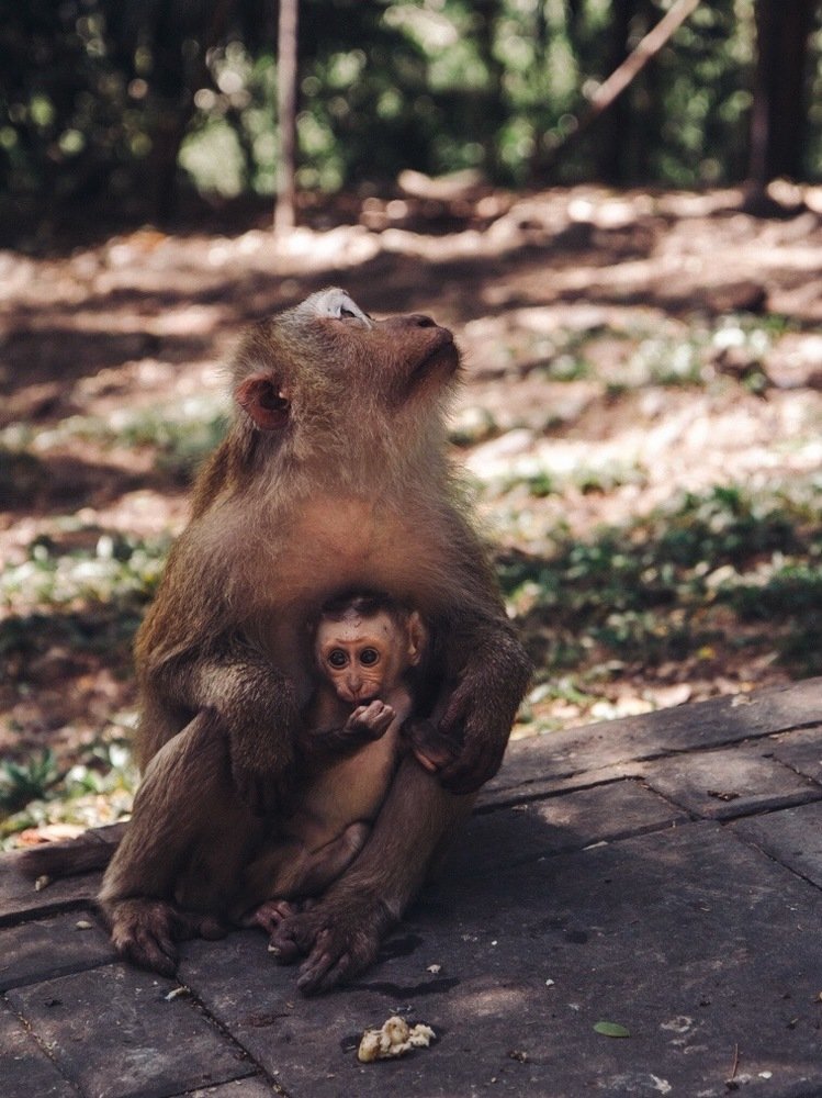 Фотография автора Мария Жукова
