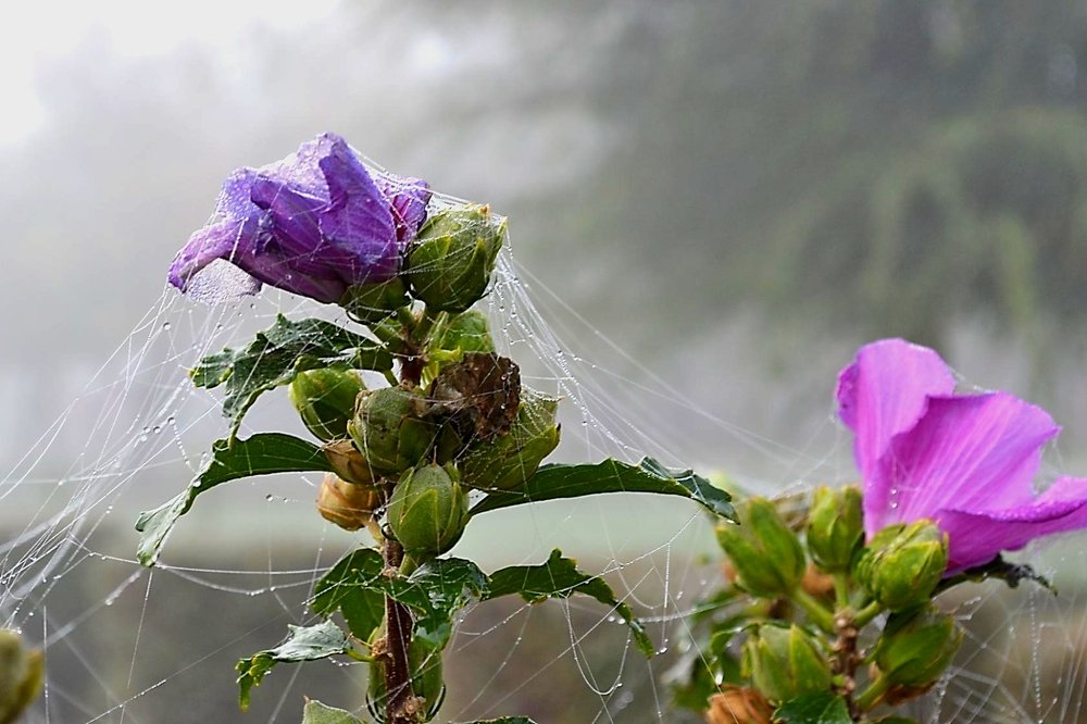 Фотография автора Ирина Якущенко