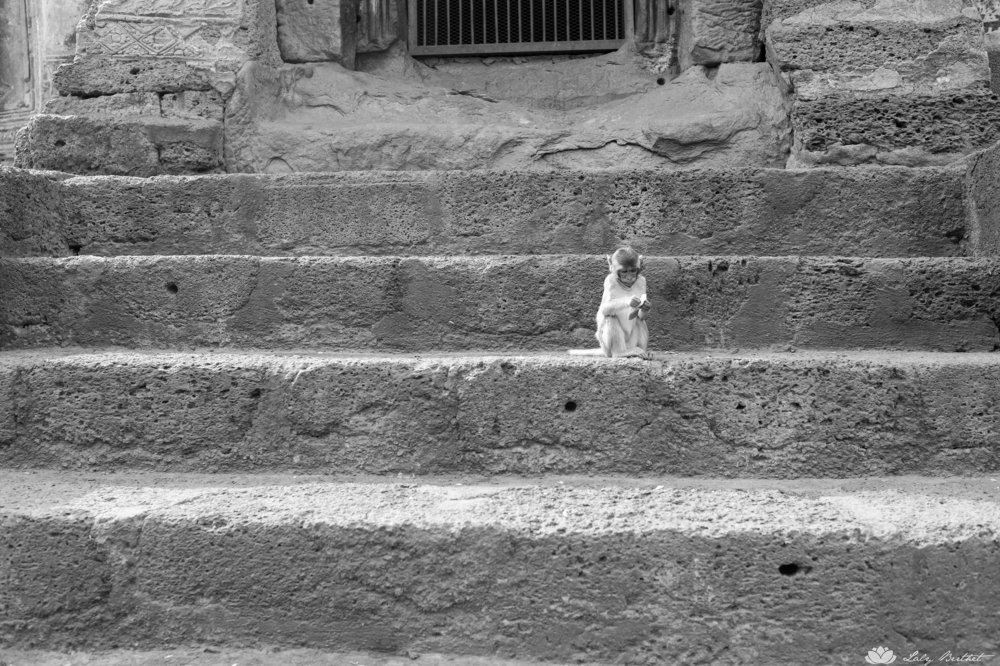 Photograph by Laly Berthet