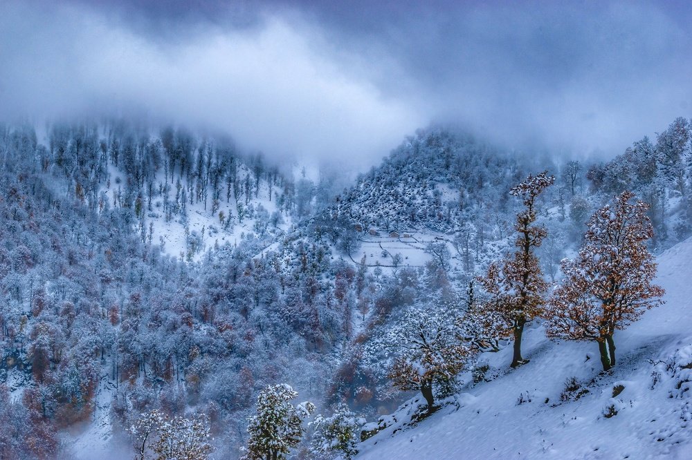 Photograph by Vahid Yavari