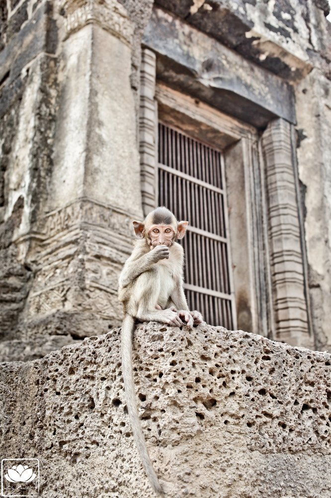 Photograph by Laly Berthet