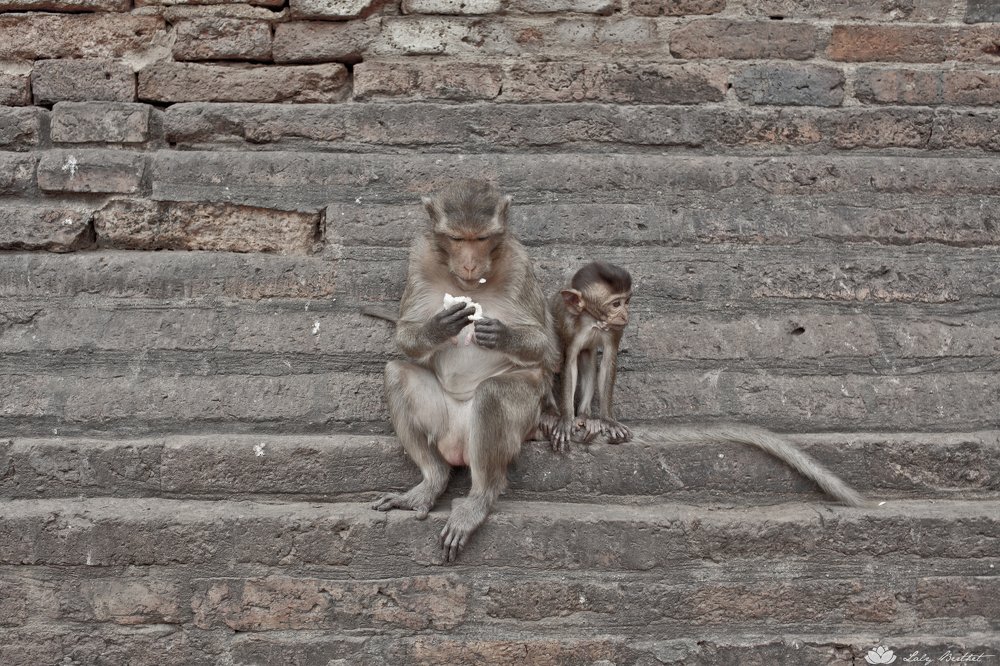 Photograph by Laly Berthet