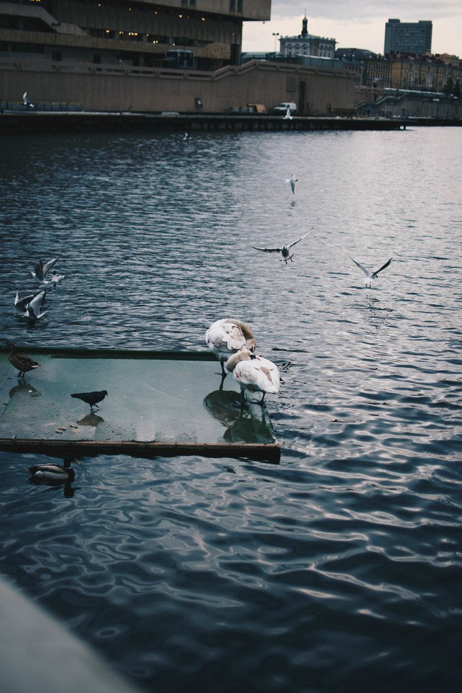 Photograph by Светлана