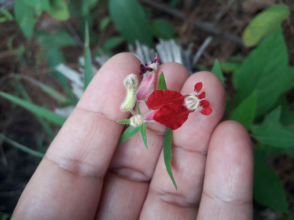 Photo #4127174