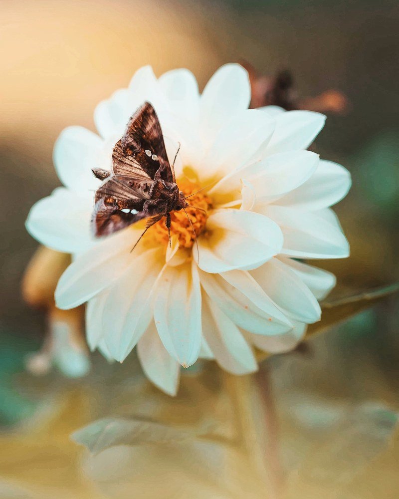 Photograph by Ciobotar Nicoleta