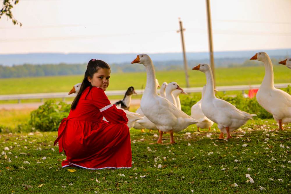 Photograph by Надежда Сальянова