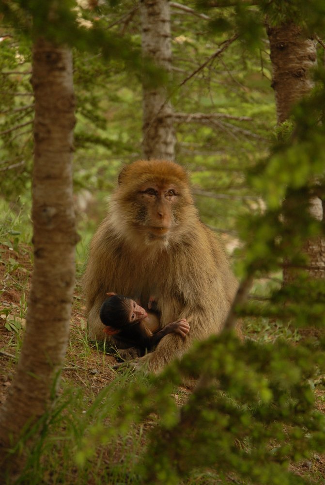 Photograph by Nouar Hadjaissa