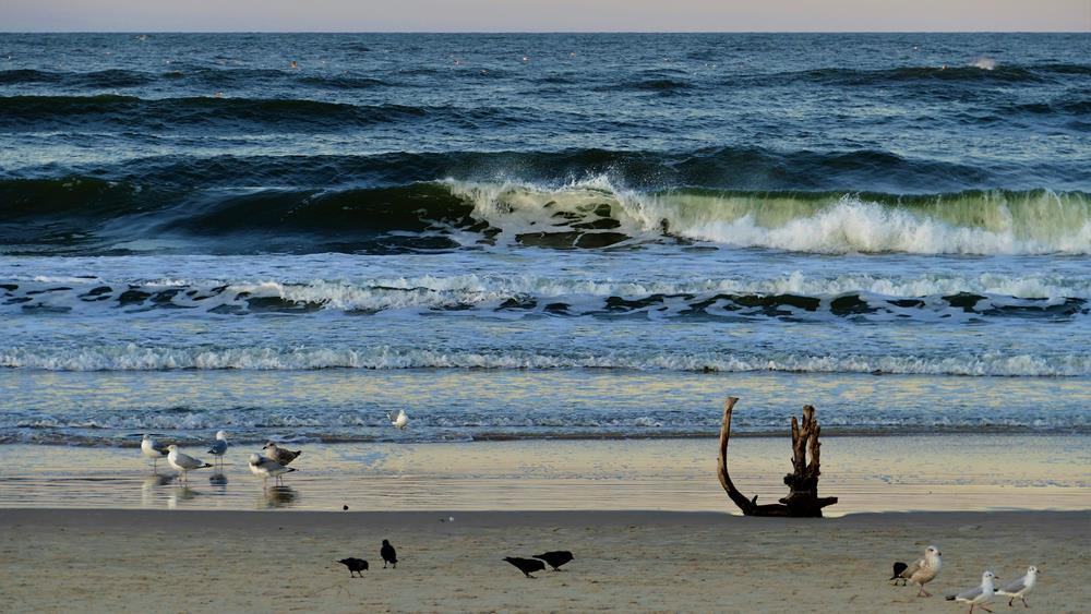 Photograph by Mariusz Smolinski