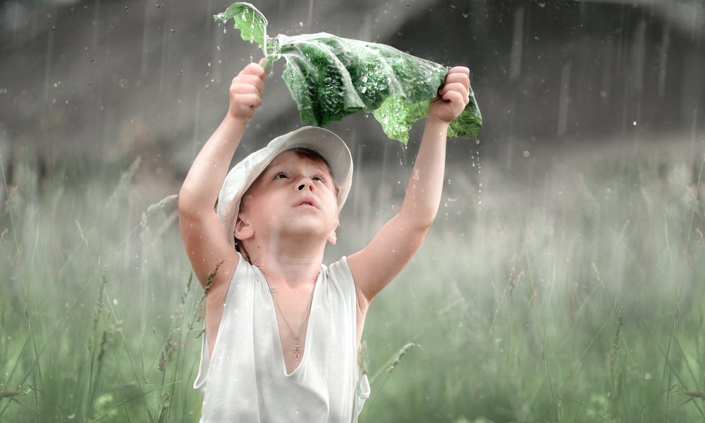 Летний дождь