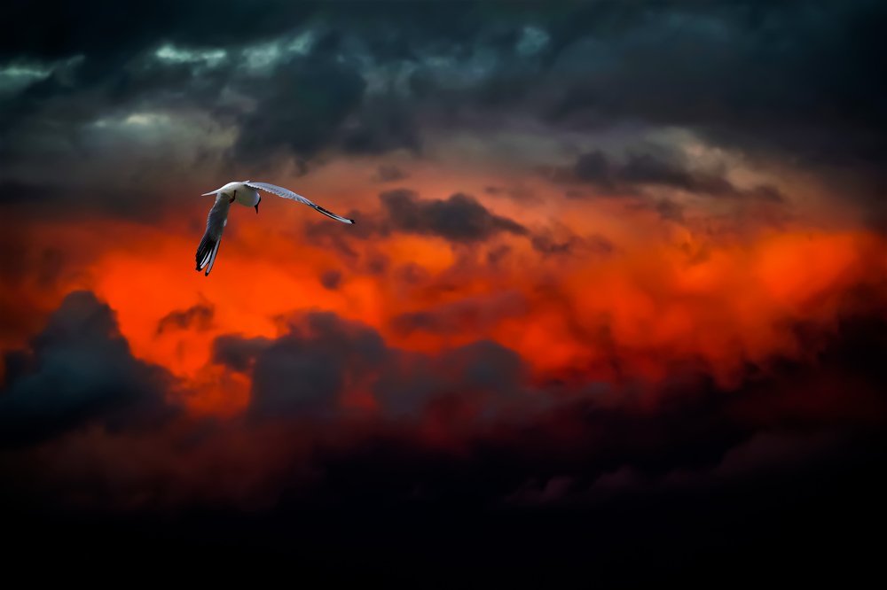 Photograph by Andrei Nikitin