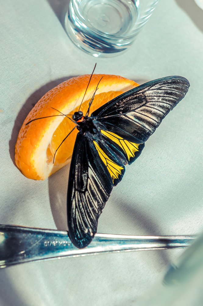 Photograph by Елена Григорьева