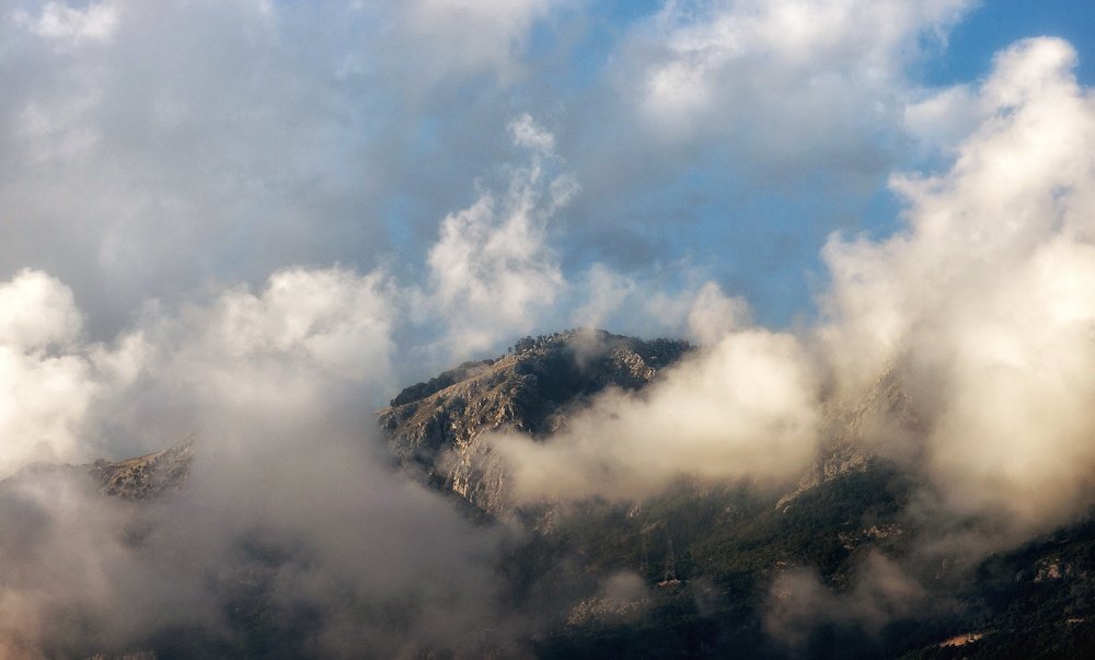 Photograph by Максим Захаров