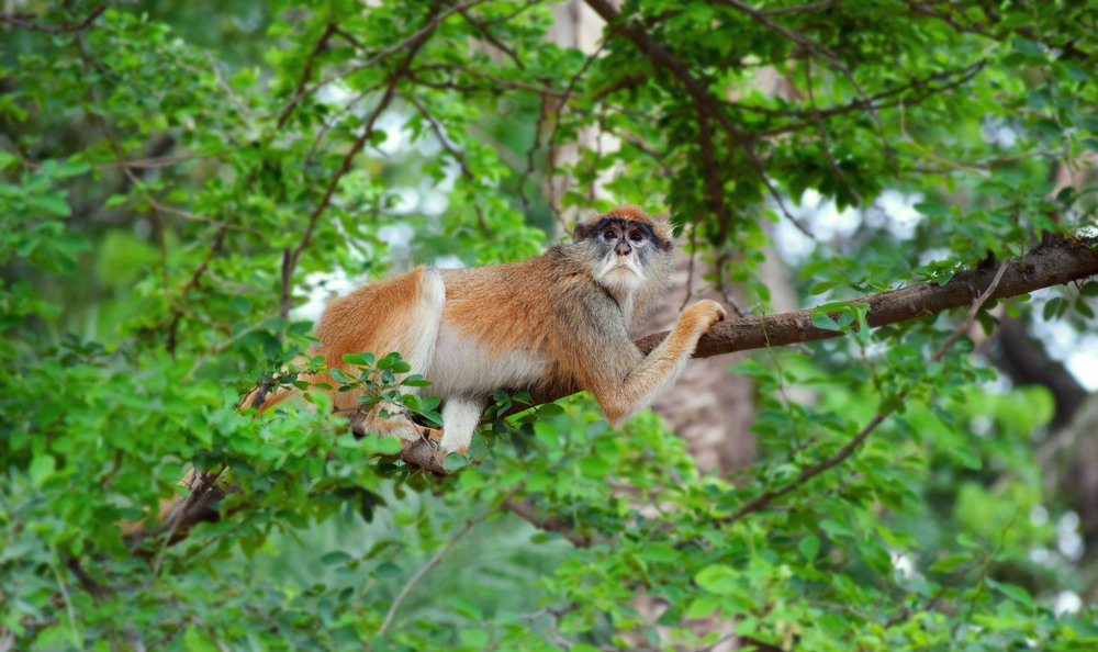 Фотография автора Мукеш Шарма