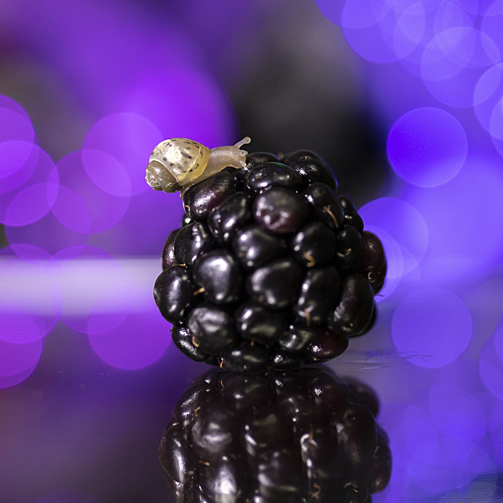 Photograph by Екатерина Вивюрская