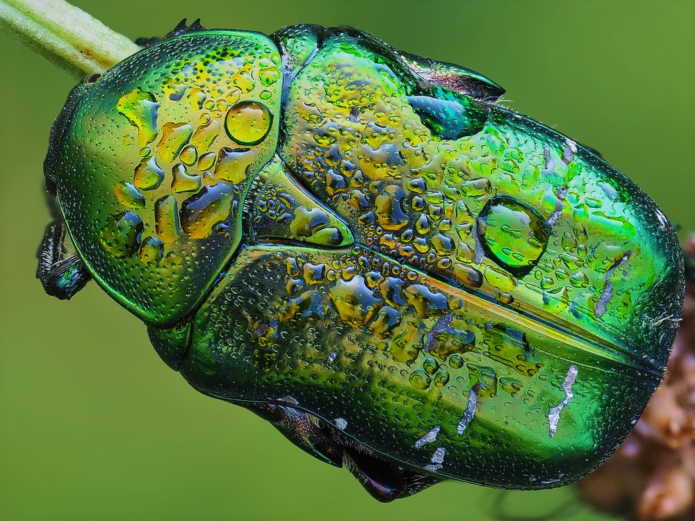 Photograph by Евгений Лукашук