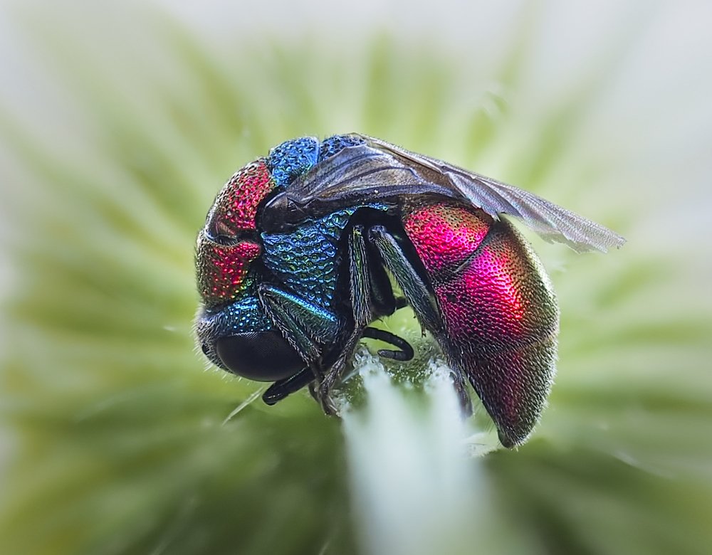 Photograph by Евгений Лукашук