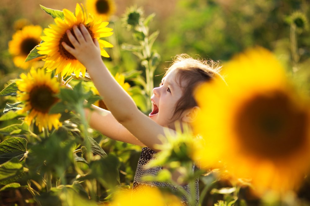 Photograph by Юлия Баранова