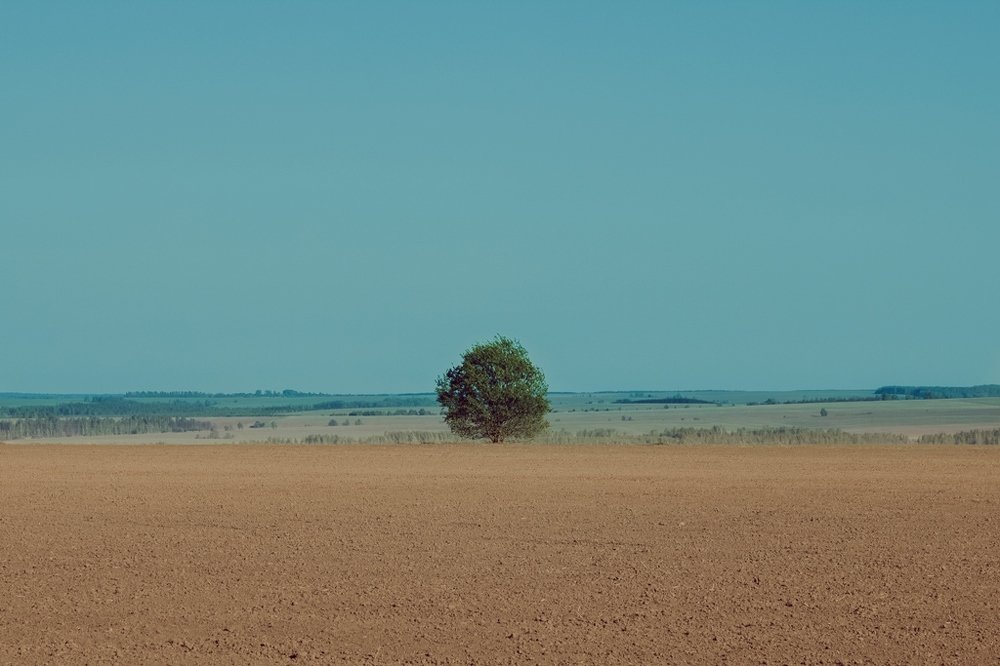 Photograph by Kirill Koshed