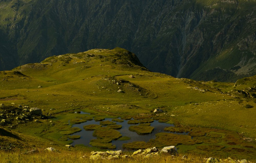 Фотография автора Дарья Юсарева