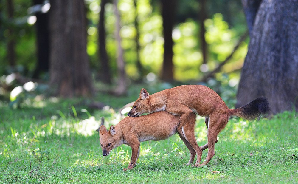 Photograph by Preet saluja