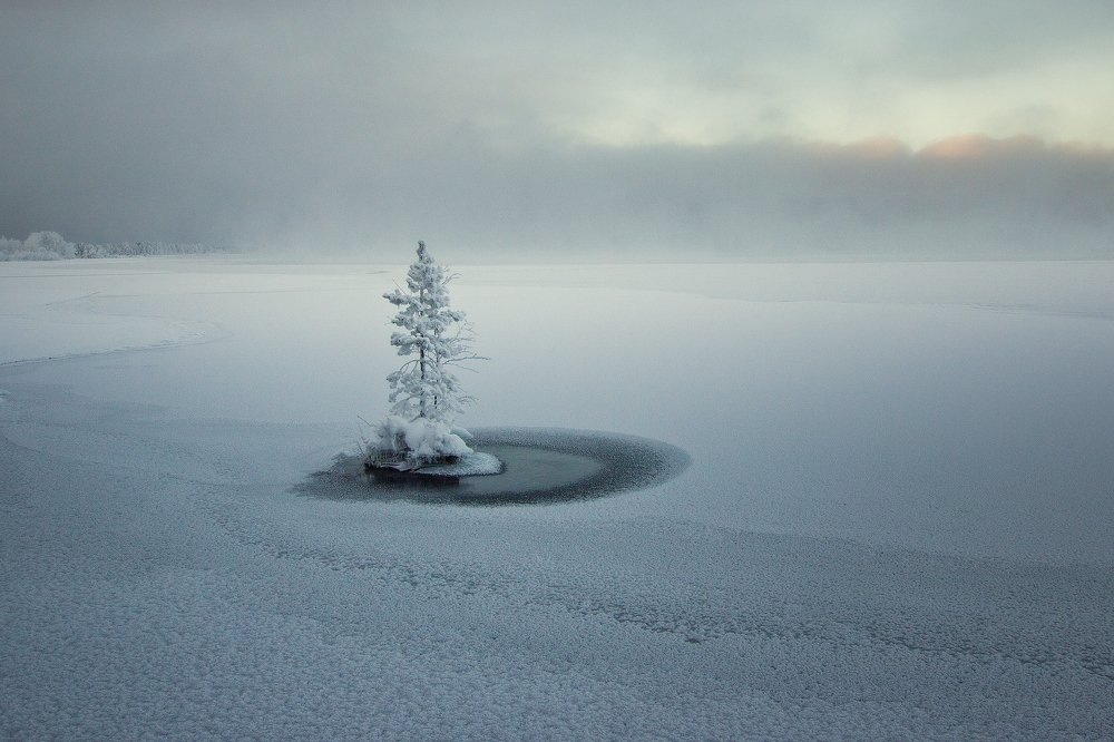 Хроники самого маленького острова. Январь