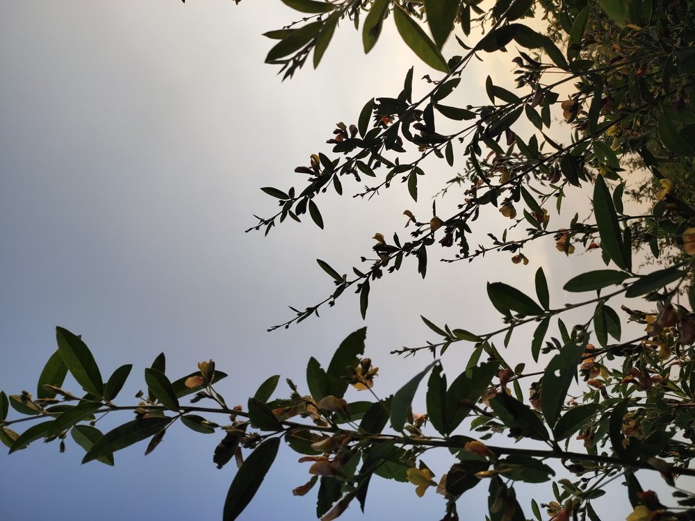 Photo #4128285