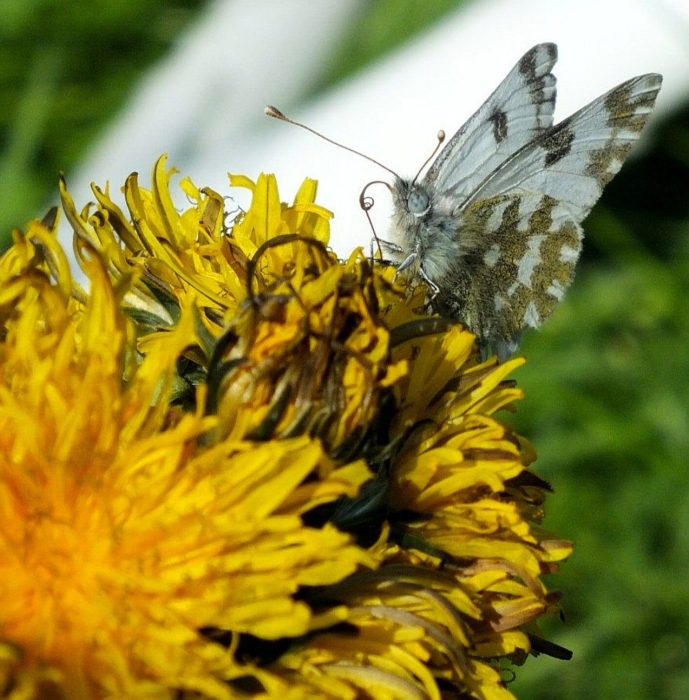 Photograph by Ольга Клименко