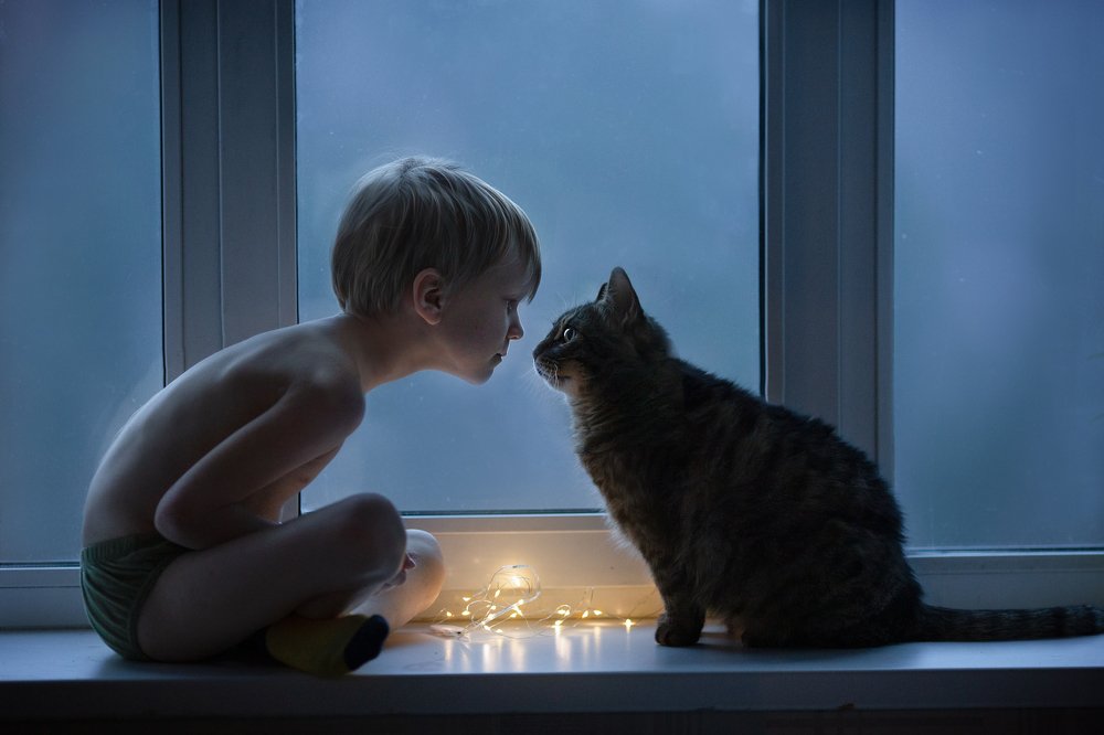 эти глаза напротив ....