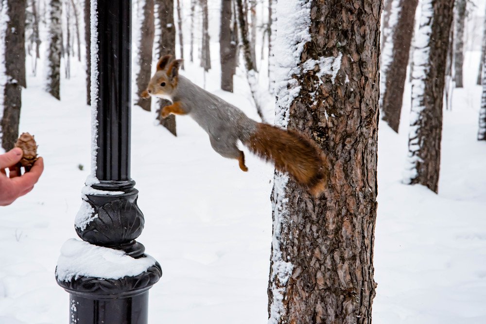 Photograph by Елена Прохорова