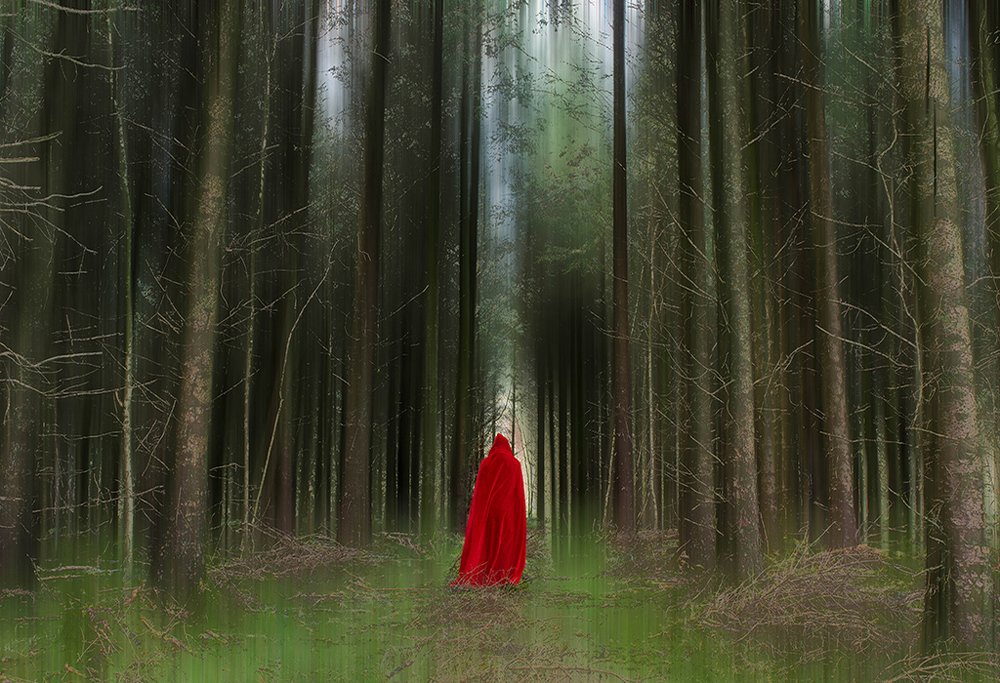 Photograph by Ollie Gargan