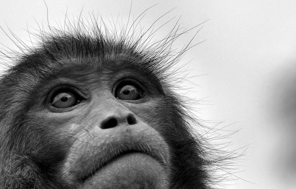 Photograph by Пётр Шевелько