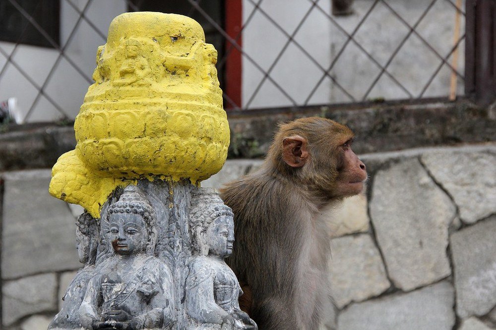 Photograph by Пётр Шевелько