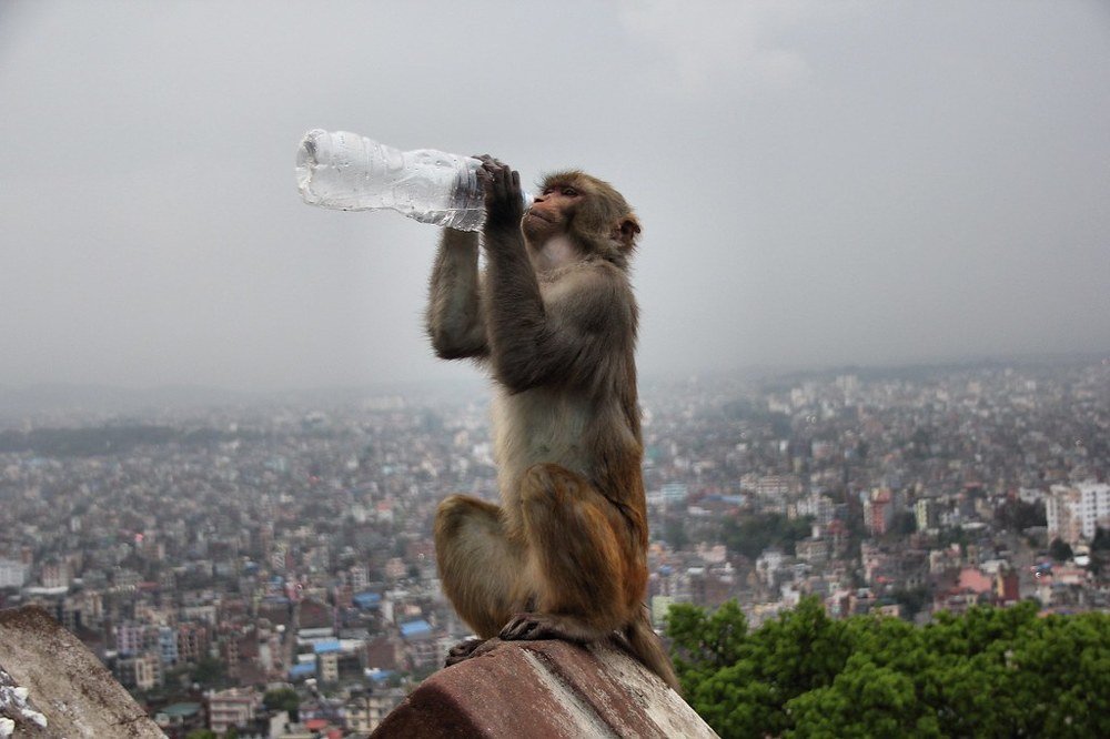 Photograph by Пётр Шевелько