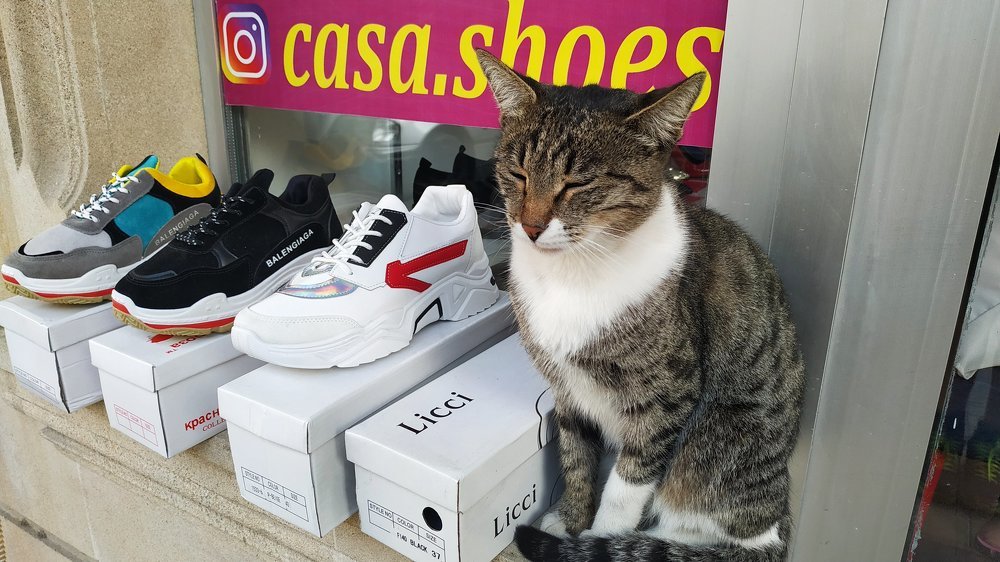 Продавец обуви