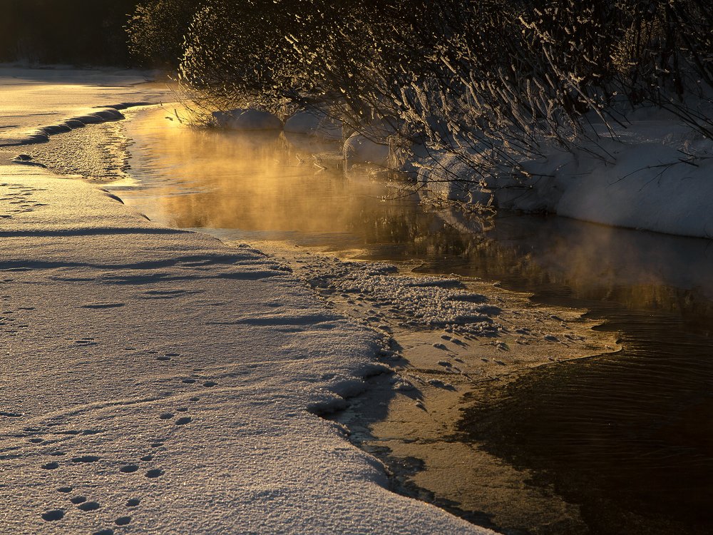 Photograph by Олег Тетерин