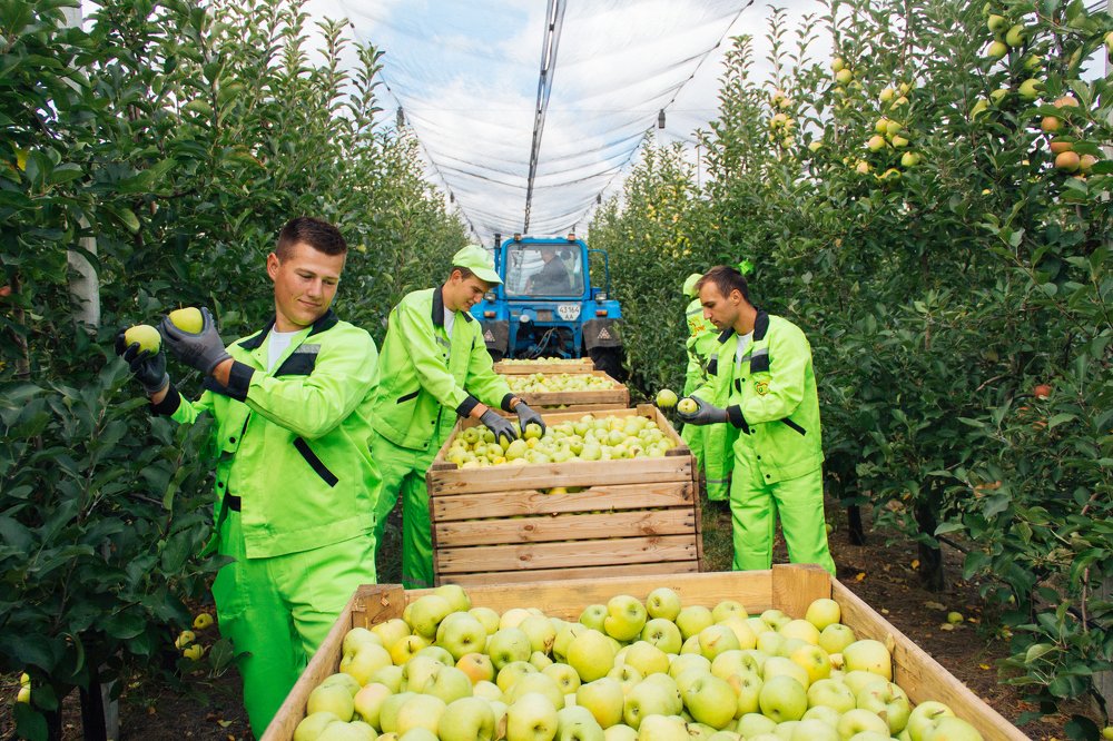 Вкусно и полезно