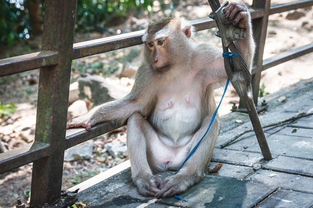 Photograph by Бакеева Анна