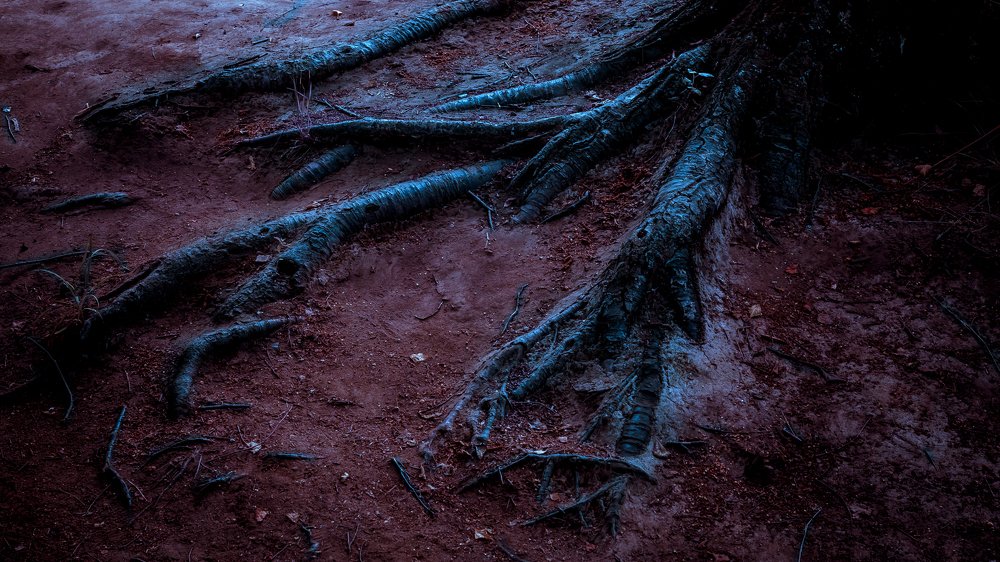 Деревянный ужас