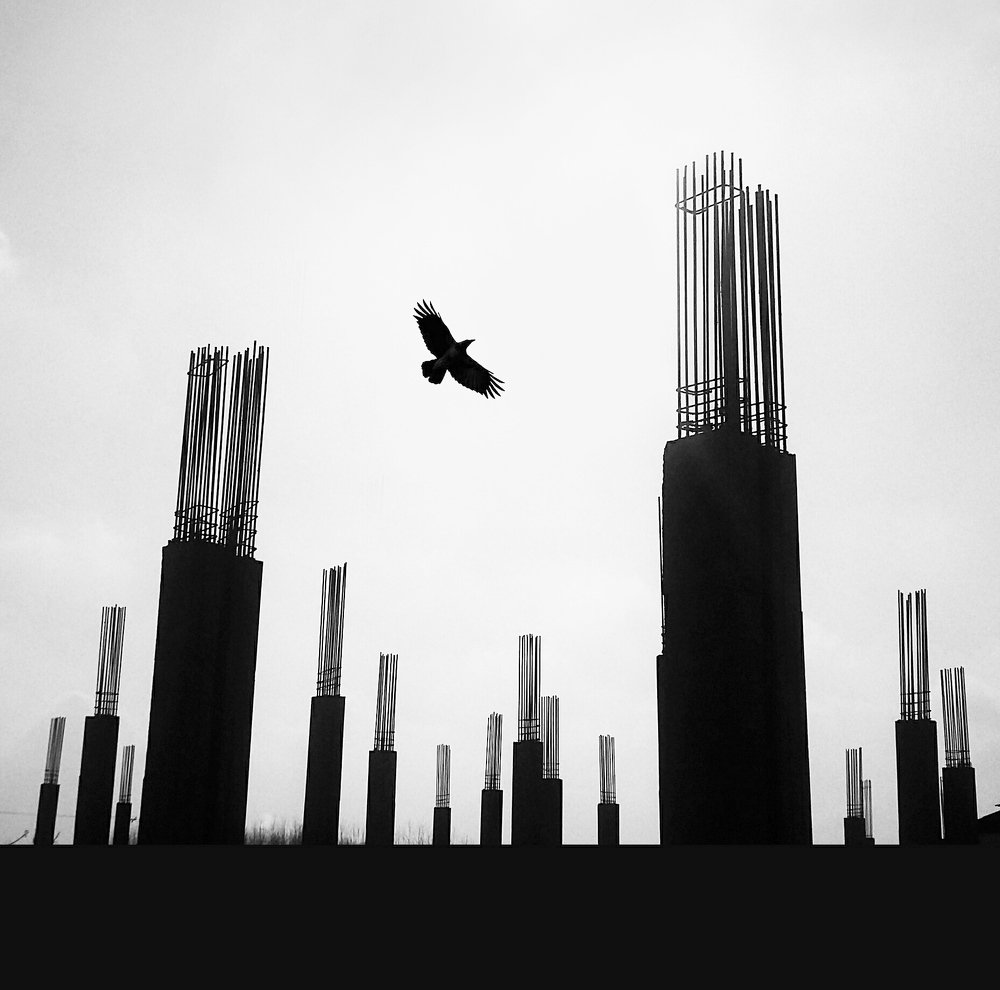 Photograph by Fereydoon ranjkesh